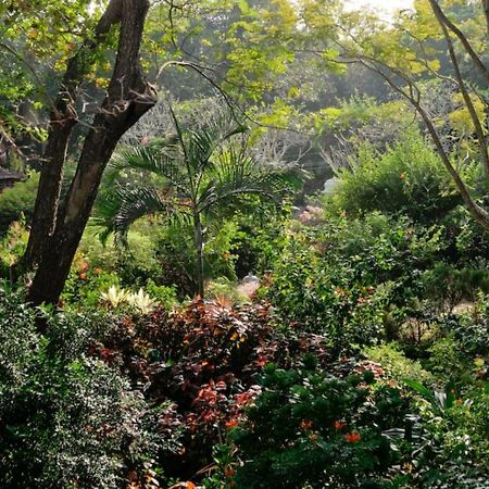 Gaia'S Garden Guest House Ауровиль Экстерьер фото