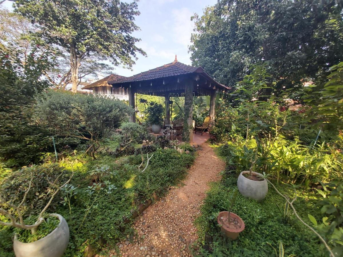 Gaia'S Garden Guest House Ауровиль Экстерьер фото