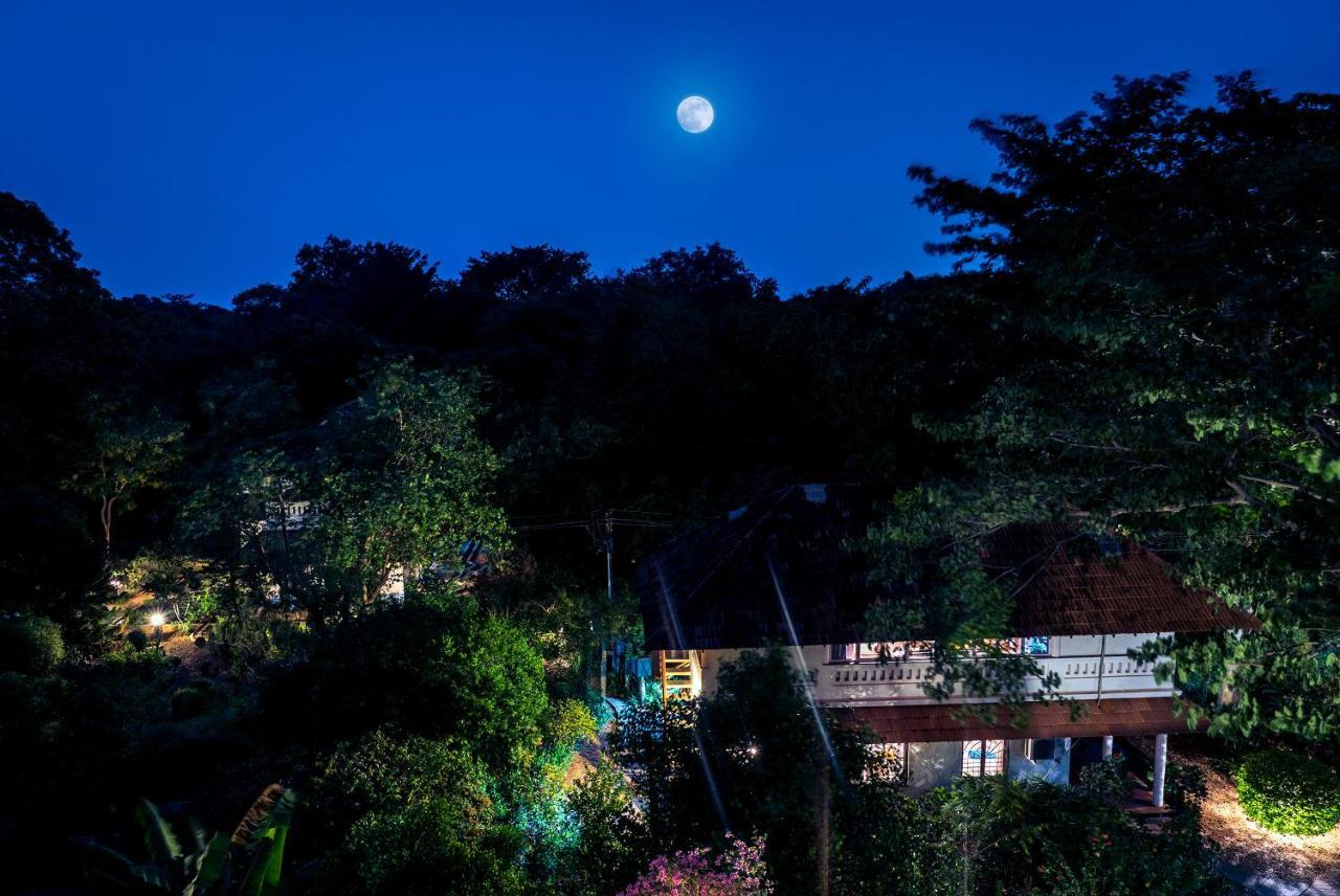 Gaia'S Garden Guest House Ауровиль Экстерьер фото