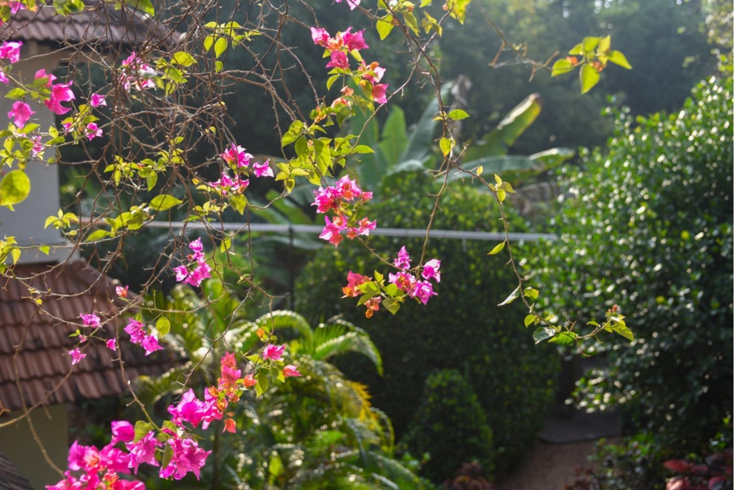 Gaia'S Garden Guest House Ауровиль Экстерьер фото